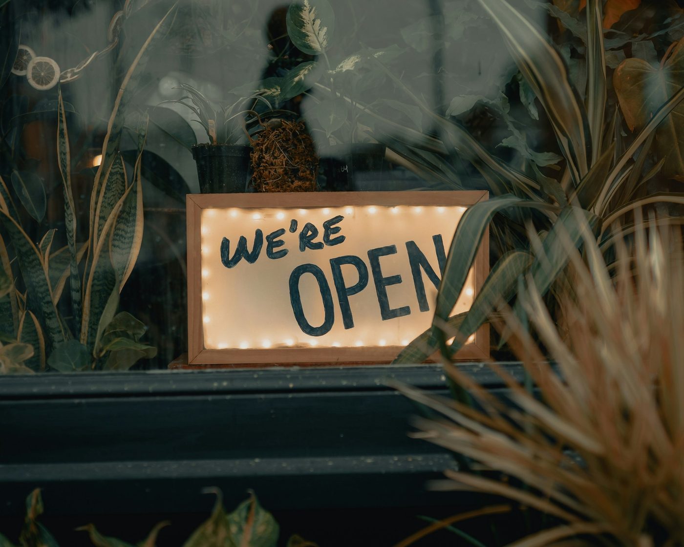 A lit 'We're open' sign in a shop window framed by plants
