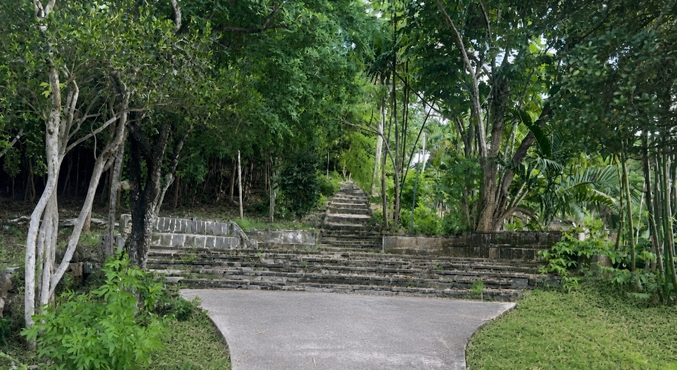 A wide stone stairway climbing through green trees