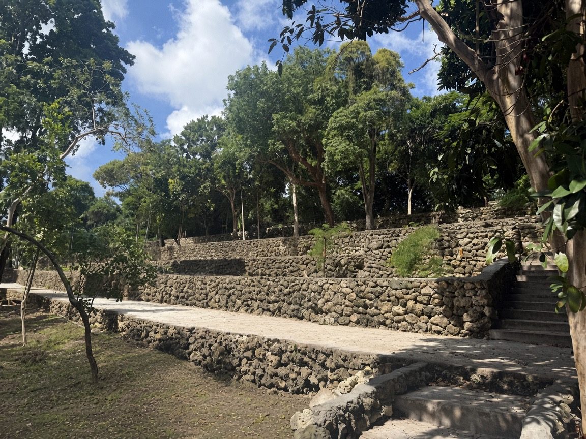 Tiered limestone terrace walls under tall shade trees